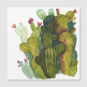 Cactus, succulents : aquarelle vintage.