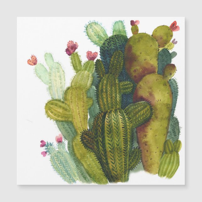 Cactus, succulents : aquarelle vintage. (Devant)