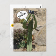 Cactus Tourist, Say QUEEESO - carte postale