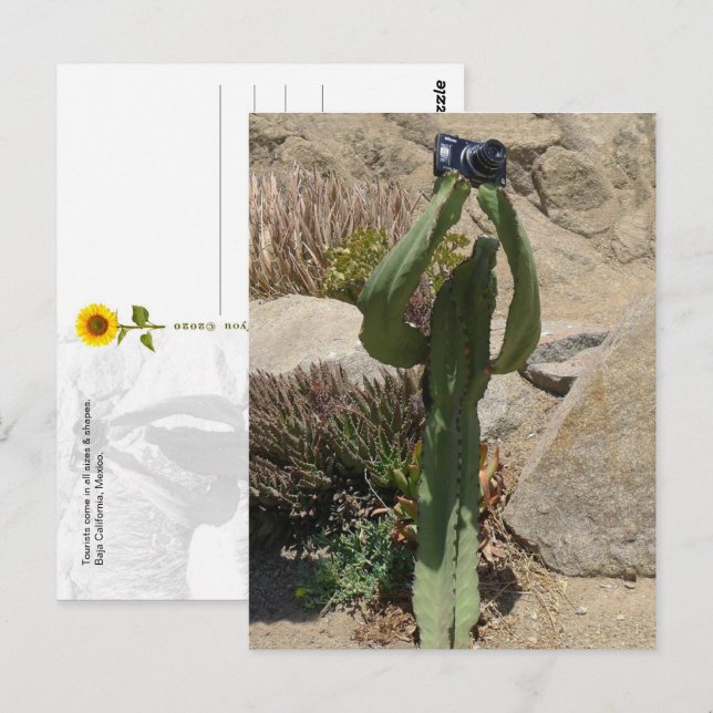 Cactus Touriste - Carte postale (Devant / Derrière)