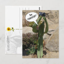 Cactus Touriste, dites CHEEESE - carte postale