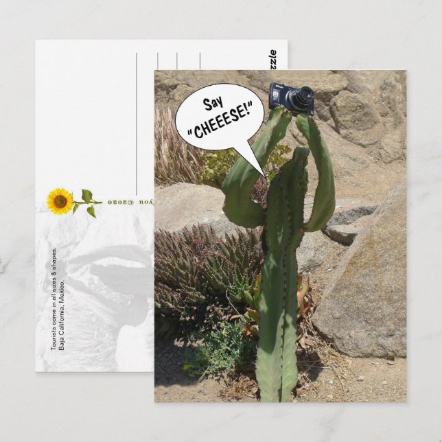 Cactus Touriste, dites CHEEESE - carte postale (Devant / Derrière)