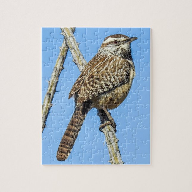 Cactus Wren Puzzle (Vertical)