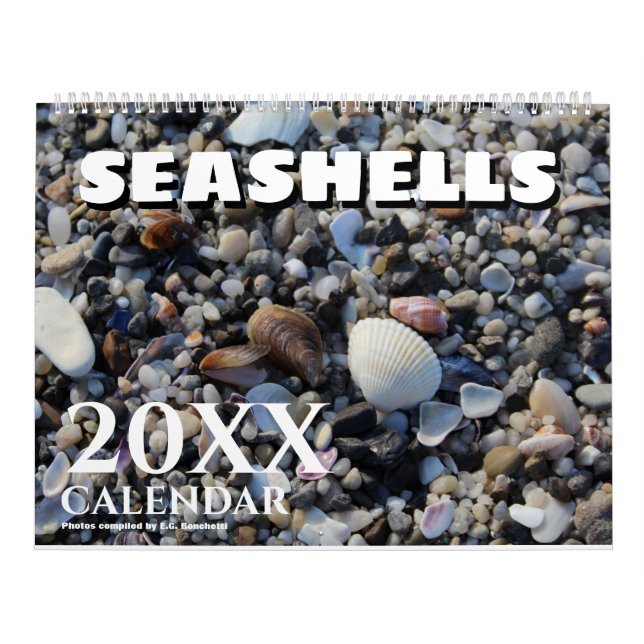 Cadeau 2025 Wall Seashell Calendrier (Protection)