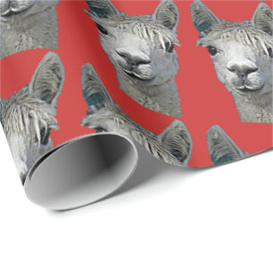 Cadeau Alpaga sur le papier rouge
