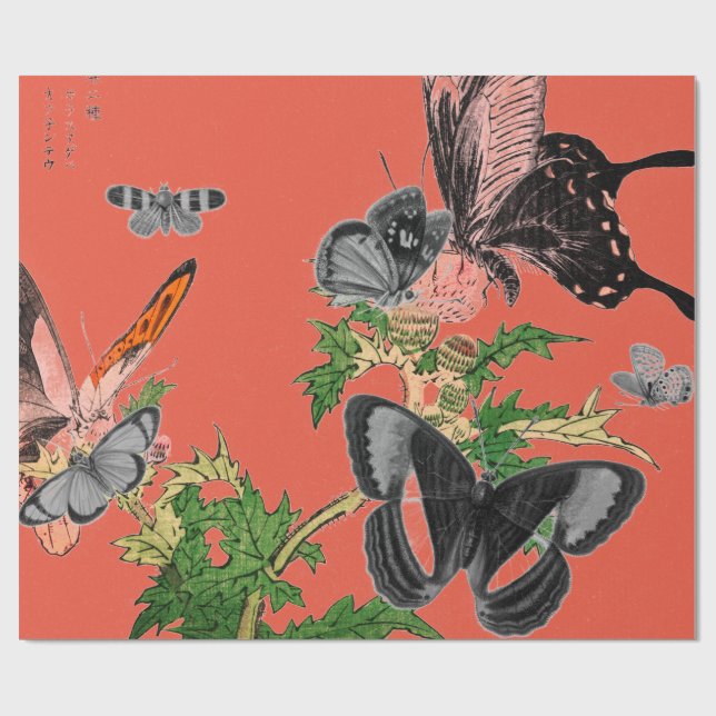 Cadeau BOUTEILLES DE Papier ET JAPONAIS ROUGE (Plat)