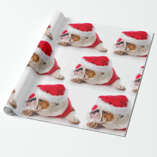 Cadeau BULLDOG AVEC chapeau de Père Noël NOËL Papier à en