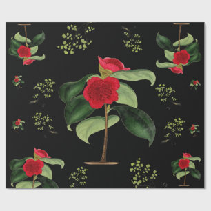Cadeau Camellia Japonica au papier d'emballage de minuit