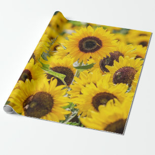 Cadeau Champ de tournesol Papier d'enveloppement design