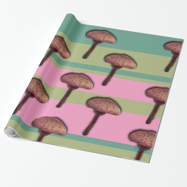 Cadeau Champignons et rayures Papier à envelopper (Déroulé)