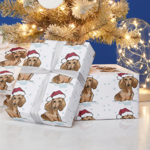 Cadeau Dachshund dans papier d'enveloppement de neige