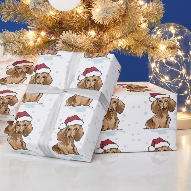 Cadeau Dachshund dans papier d'enveloppement de neige (Vacances)