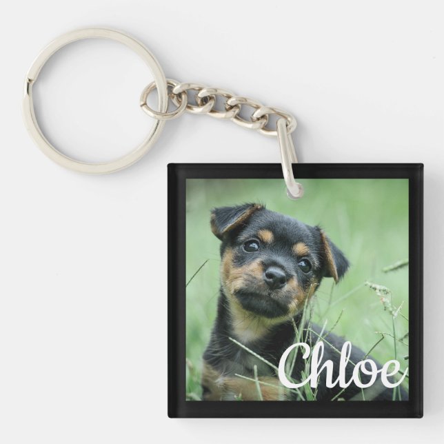 Cadeau d'animal de compagnie pour Noël Porte-clés  (Devant)