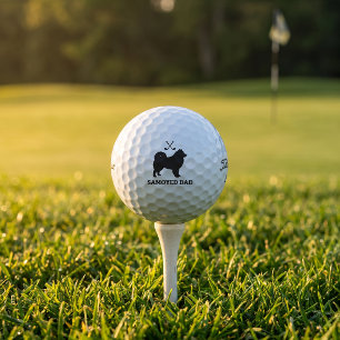 Cadeau de balle de golf Titleist Pro V1 pour papa