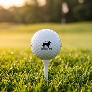 Cadeau de balle de golf Titleist Pro V1 pour papa