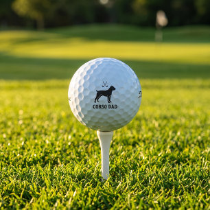 Cadeau de balle de golf Titleist Pro V1 pour papa