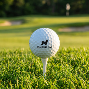 Cadeau de balle de golf Titleist Pro V1 pour papa