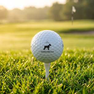Cadeau de balle de golf Titleist Pro V1 pour papa