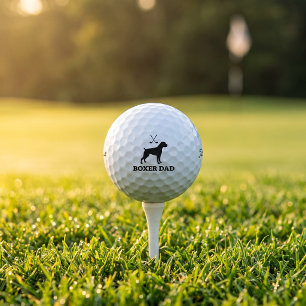 Cadeau de balle de golf Titleist Pro V1 pour papa