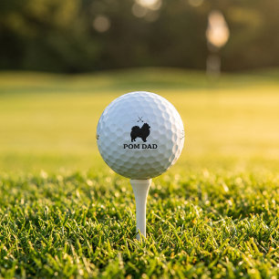 Cadeau de balle de golf Titleist Pro V1 pour papa