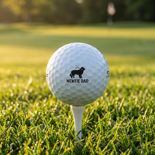 Cadeau de balle de golf Titleist Pro V1 pour papa