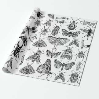 Cadeau Entomologie Papier Bugs Insectes Enveloppement Cad