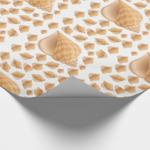 Cadeau Envelopper les coquillages en papier