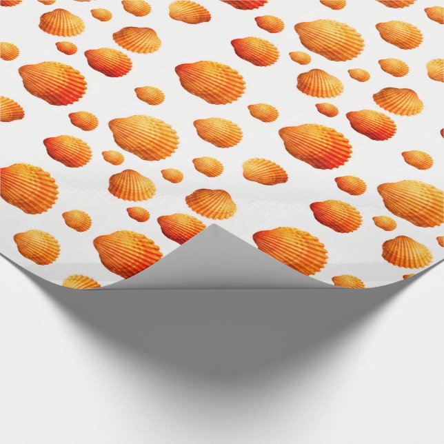 Cadeau Envelopper les coquillages en papier (Coin)