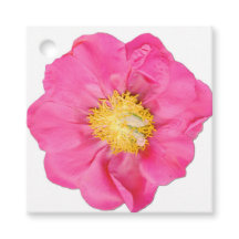Étiquettes de faveur carrées botaniques de fleur d