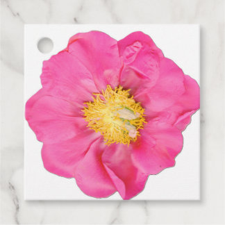 Cadeau Étiquettes de faveur carrées botaniques de fleur d