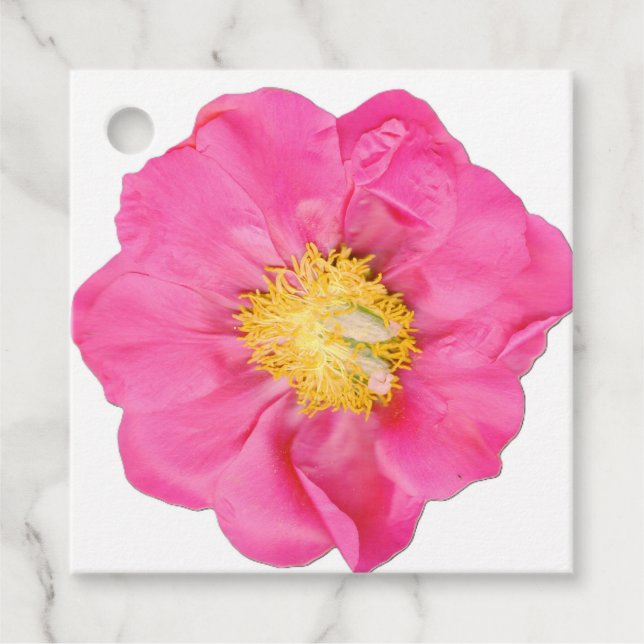 Cadeau Étiquettes de faveur carrées botaniques de fleur d (Devant)
