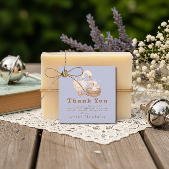 Cadeau Étiquettes de faveur de l'oie bleue ridicule (Blue Silly Goose Favor Tags)