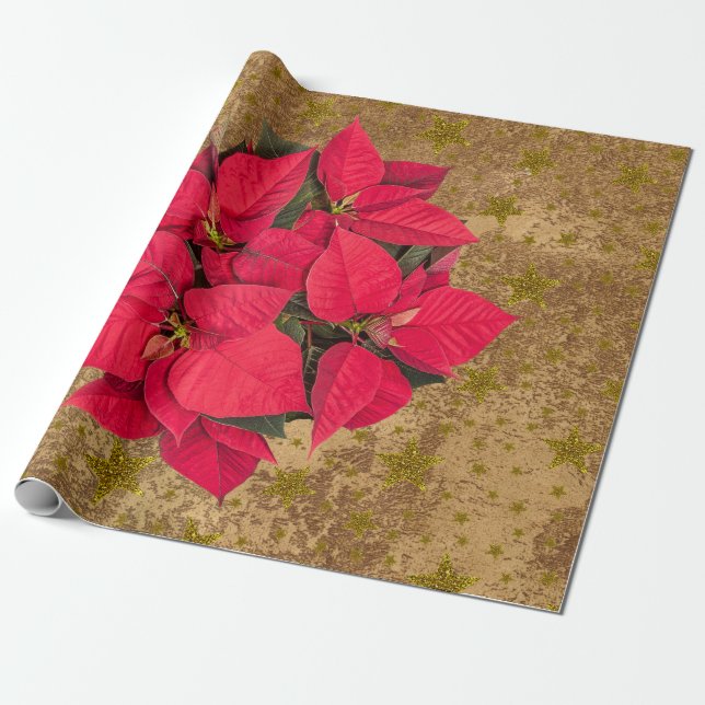 Cadeau Fleur de Noël rouge, étoiles d'or sur papier abstr (Déroulé)