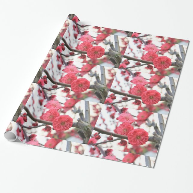 Cadeau fleurs de prune fleurs rose de printemps 2 papier  (Déroulé)