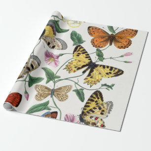 Cadeau Illustration Vintage du Papier à papier emballer