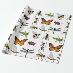 Cadeau INSECTES FRAIS de papier d'emballage