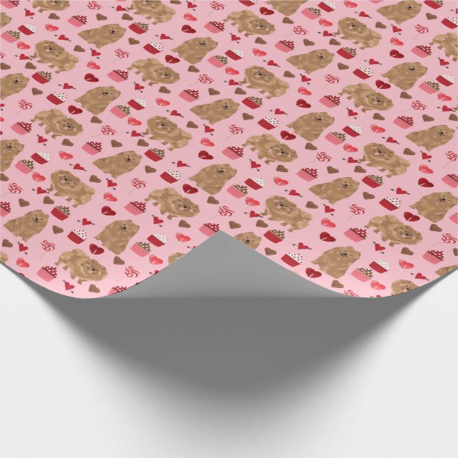 Cadeau Jour des valentines de papier de poméranie (Coin)