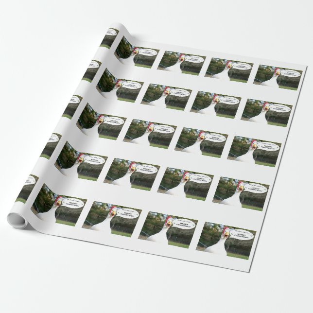 Cadeau Joyeux papier d'enveloppement de canard de Noël (Déroulé)