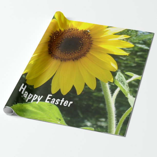 Cadeau Joyeux Pâques, Grosse Marguerite Jaune, Papier Env (Déroulé)
