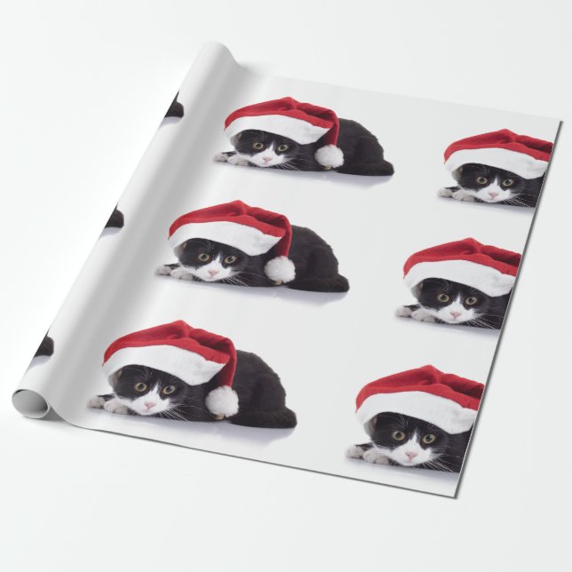 Cadeau Kitten avec papier d'enveloppement de chapeau de S (Déroulé)