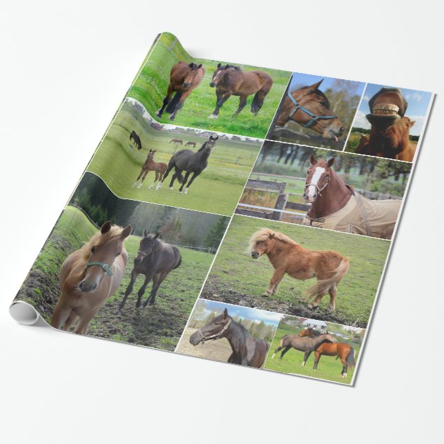 Cadeau Le papier d'emballage de l'amant de cheval (Déroulé)