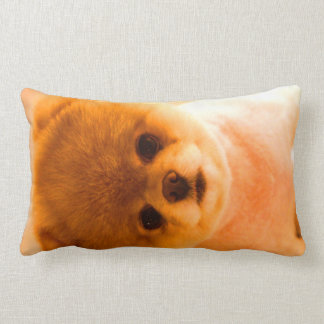 Cadeau lombaire de coussin de photo