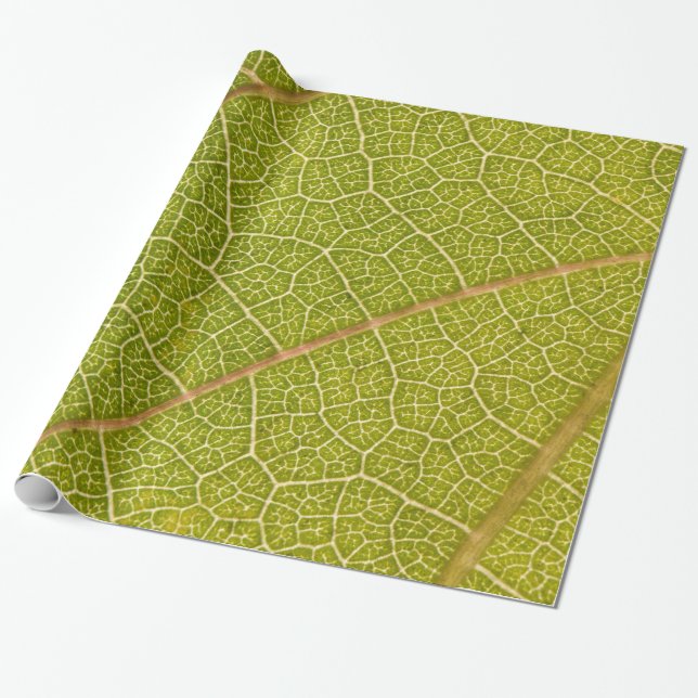 Cadeau Macro papier d'emballage de feuille (Déroulé)