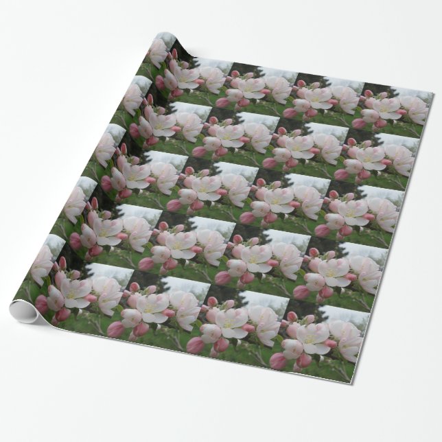 Cadeau Papier à enveloppement blanc et rose (Déroulé)