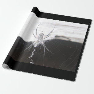 Cadeau Papier à enveloppement d'araignée