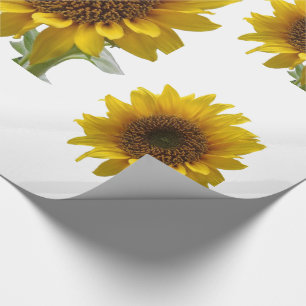 Cadeau Papier à enveloppement de tournesol