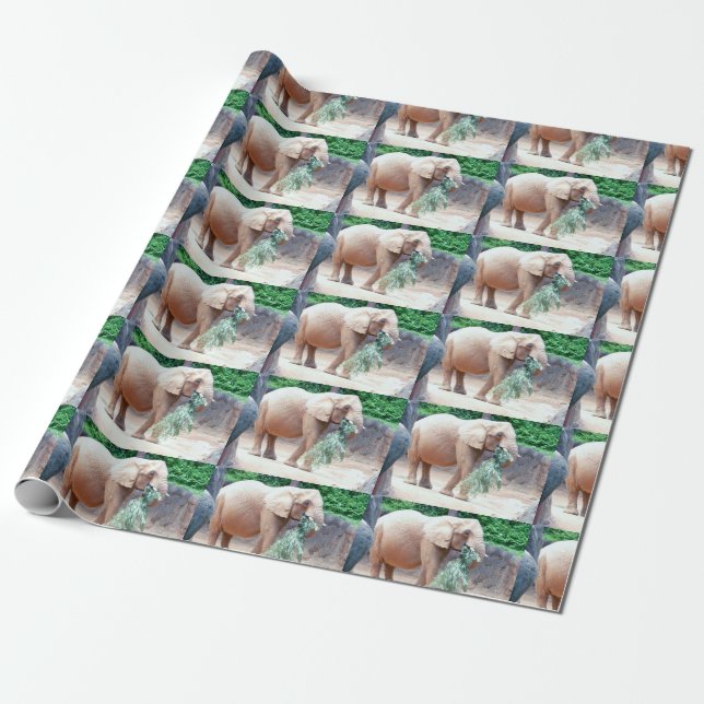 Cadeau Papier à enveloppement éléphant (Déroulé)