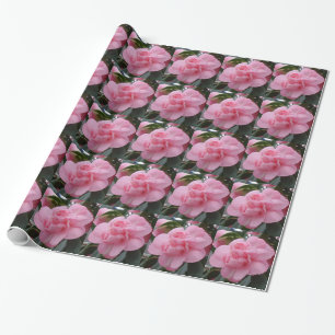 Cadeau Papier à enveloppement rose