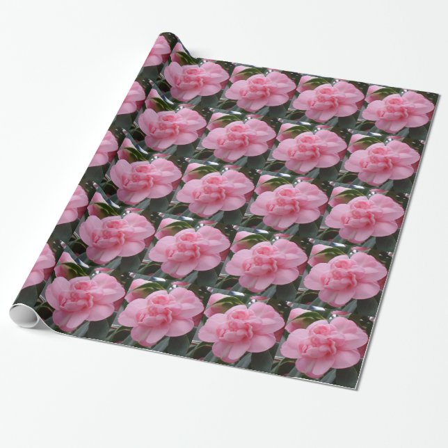 Cadeau Papier à enveloppement rose (Déroulé)
