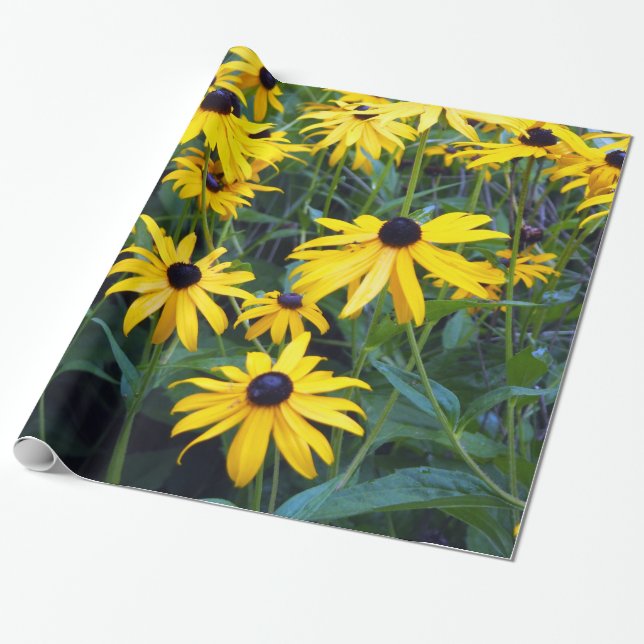 Cadeau Papier à envelopper de Susans à l'oeil noir (Déroulé)